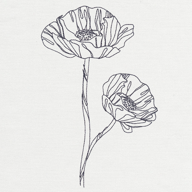 Delicate Poppy