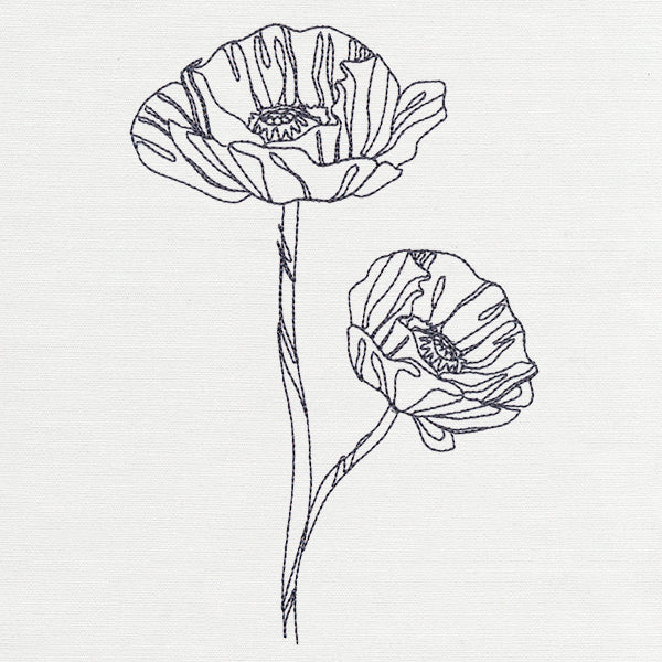 Delicate Poppy