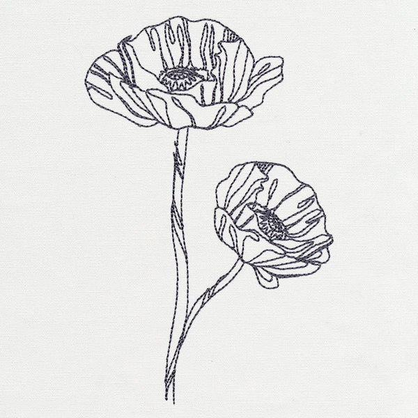 Delicate Poppy