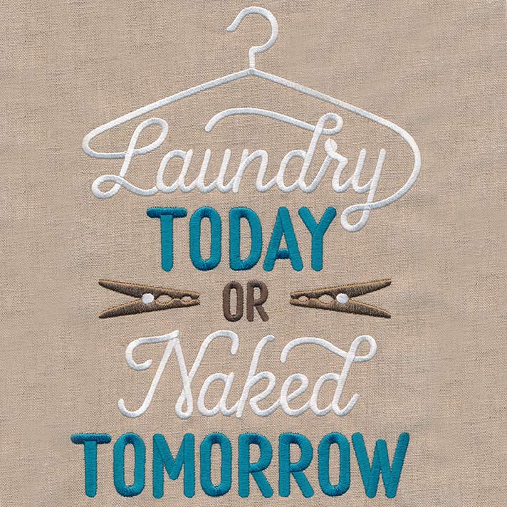 Laundry Today or Naked Tomorrow