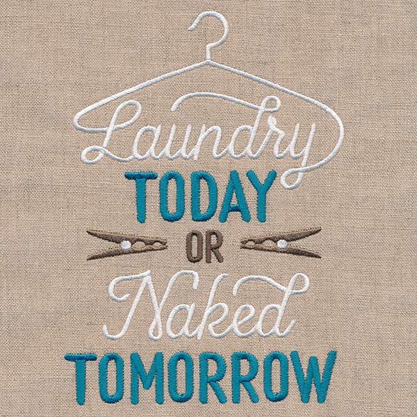 Laundry Today or Naked Tomorrow