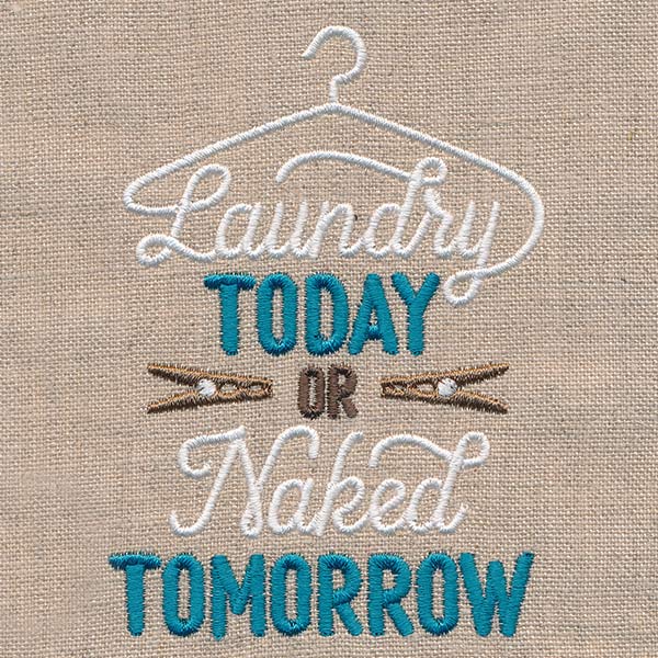Laundry Today or Naked Tomorrow
