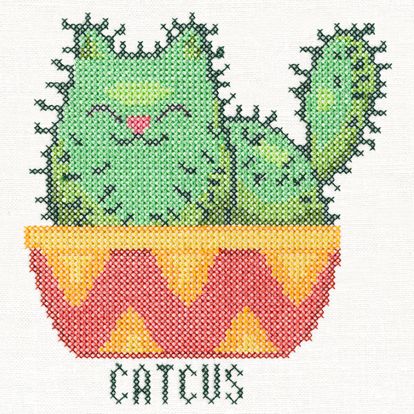 Catcus