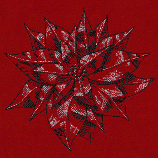 Poinsettia Sketch