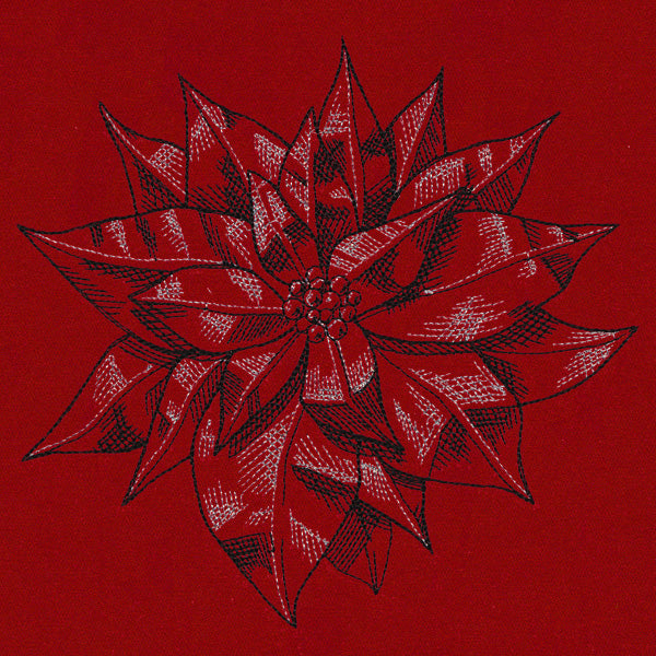 Poinsettia Sketch
