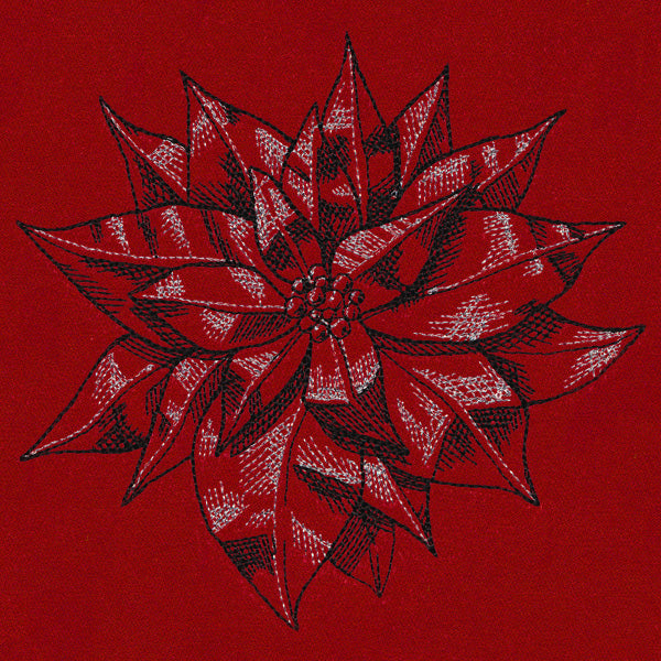 Poinsettia Sketch