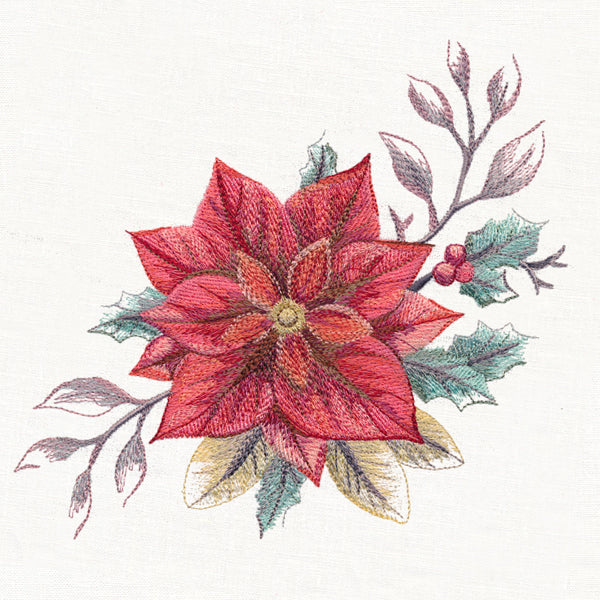 Frosted Poinsettia