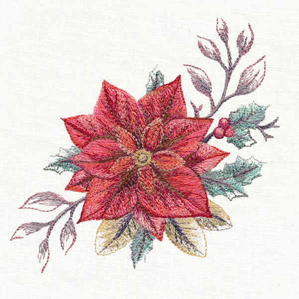 Frosted Poinsettia