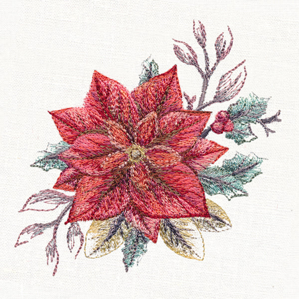 Frosted Poinsettia