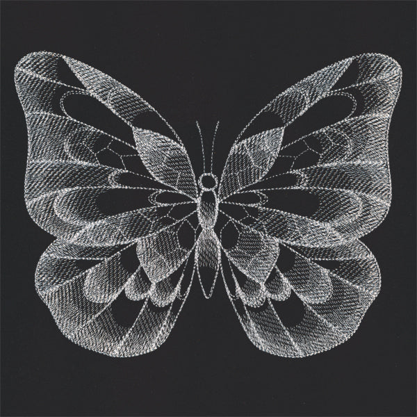 Sheer Beauty Butterfly