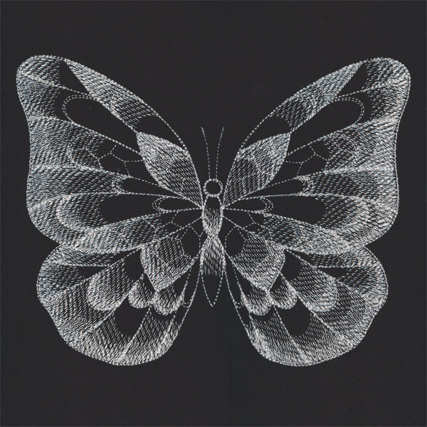 Sheer Beauty Butterfly