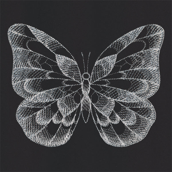 Sheer Beauty Butterfly