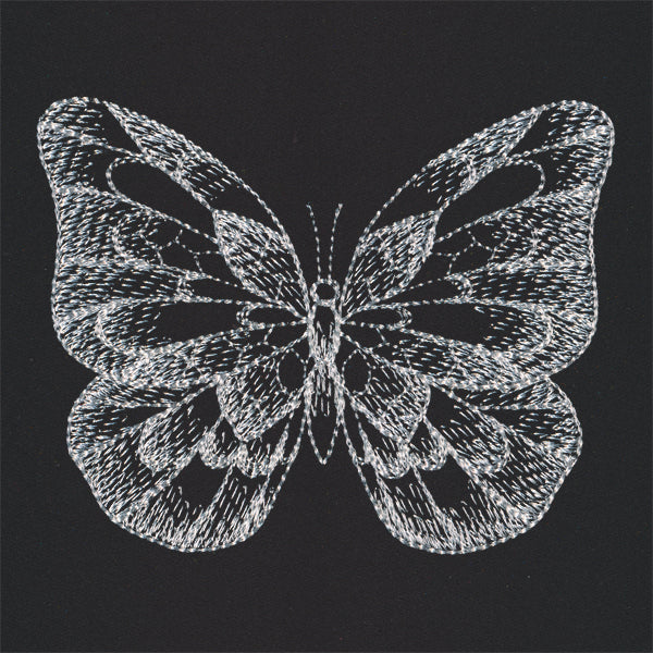 Sheer Beauty Butterfly