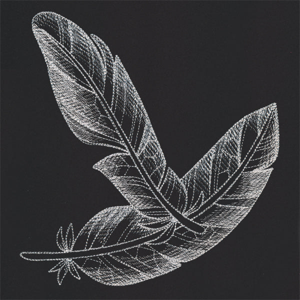 Sheer Beauty Feathers