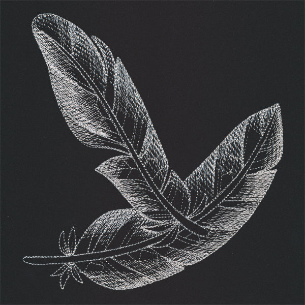 Sheer Beauty Feathers