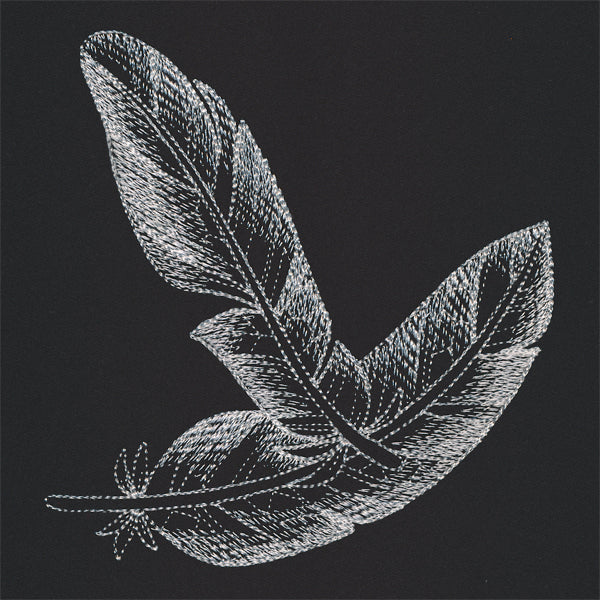 Sheer Beauty Feathers