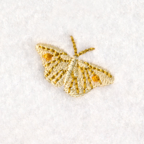 Teensy Moth