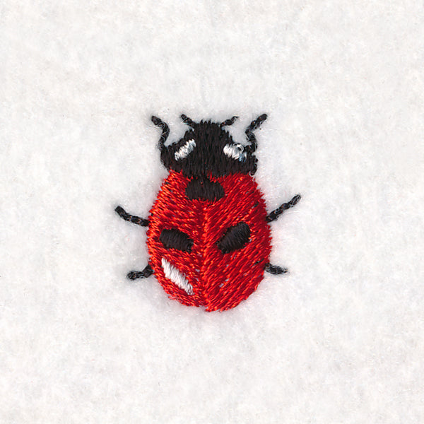 Teensy Ladybug