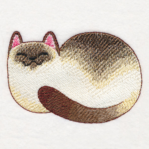 Contented Kitty - Siamese