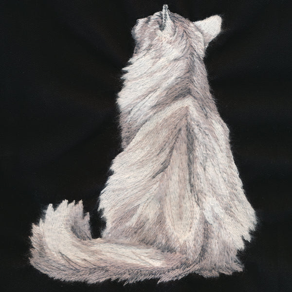 Brushed Kitty