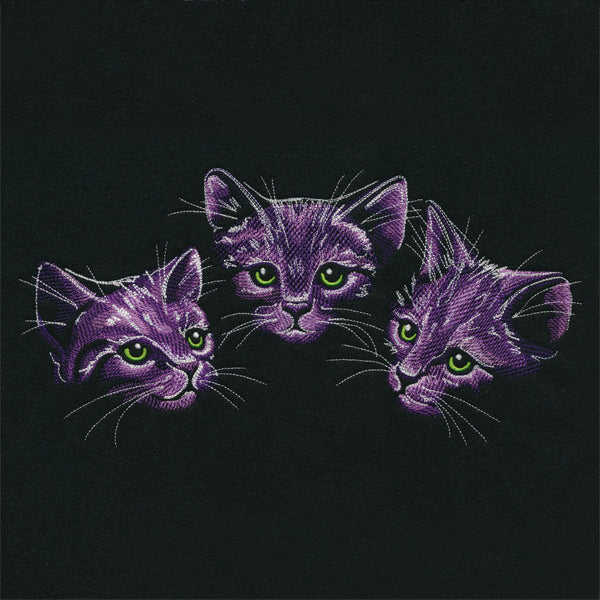 Moonlit Kitten Trio
