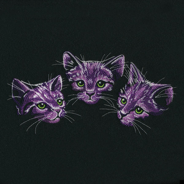 Moonlit Kitten Trio
