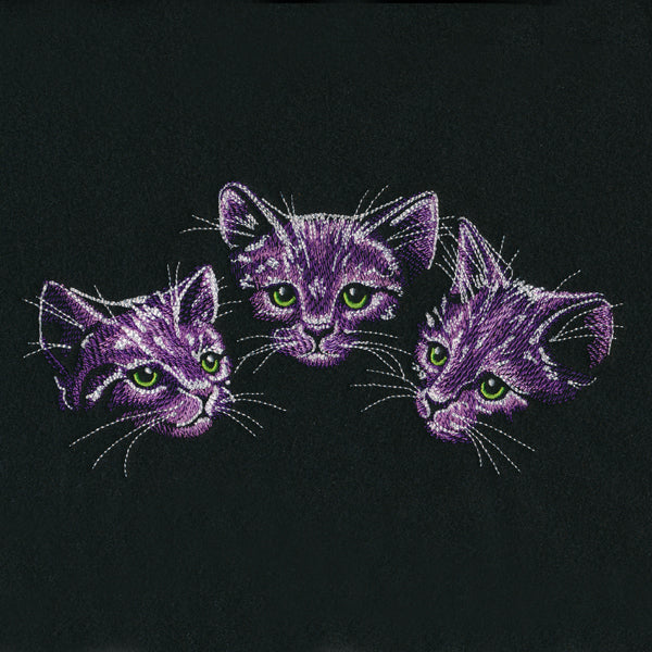 Moonlit Kitten Trio
