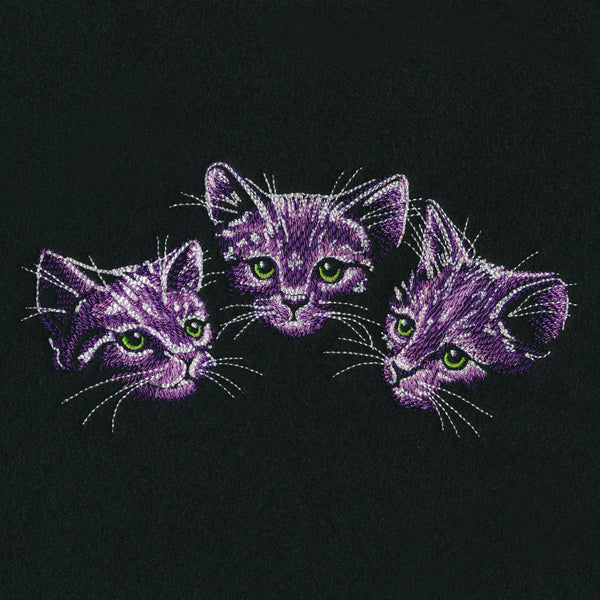 Moonlit Kitten Trio