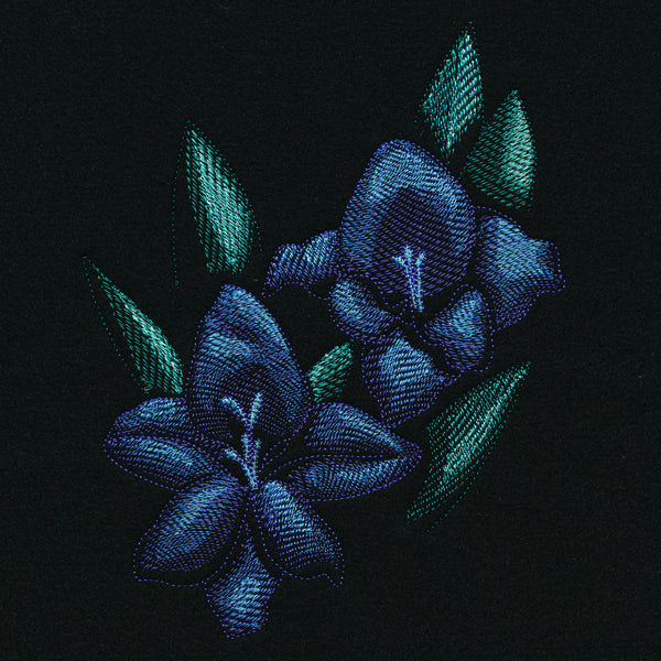 Night Garden Gladiolus