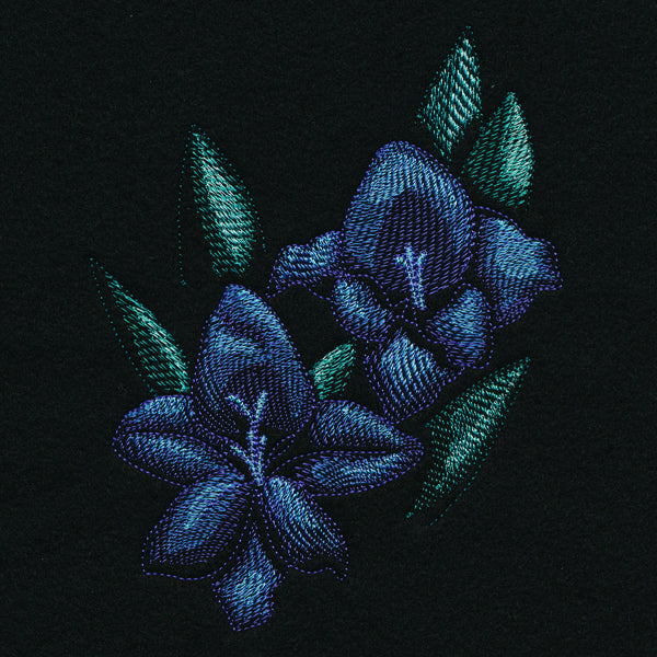 Night Garden Gladiolus