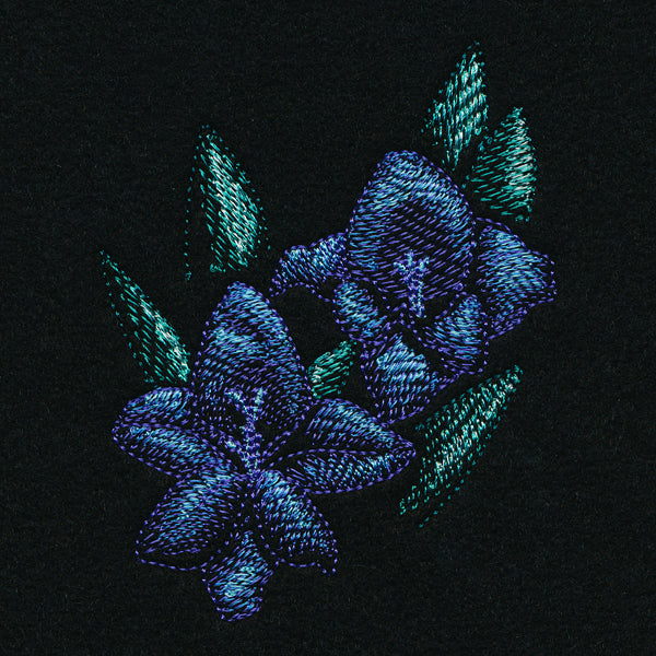 Night Garden Gladiolus