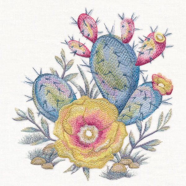 Silvered Sunrise Cactus Blossom