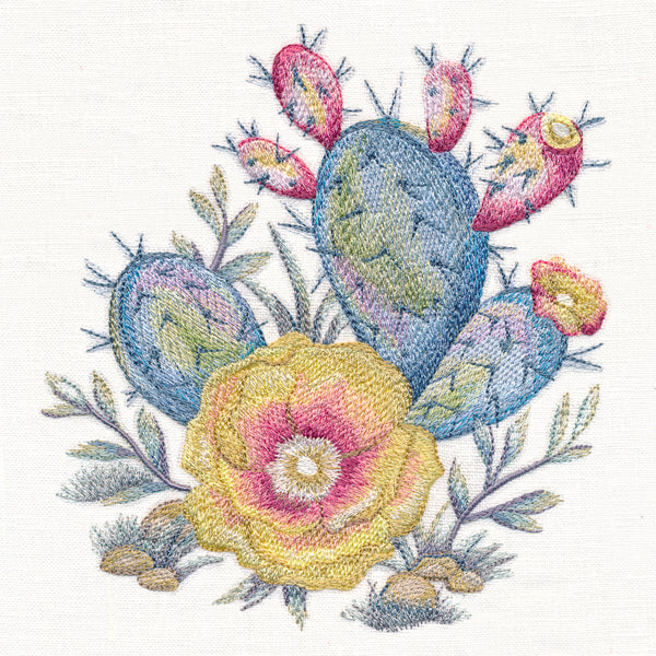 Silvered Sunrise Cactus Blossom