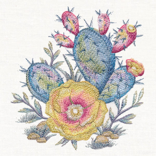 Silvered Sunrise Cactus Blossom