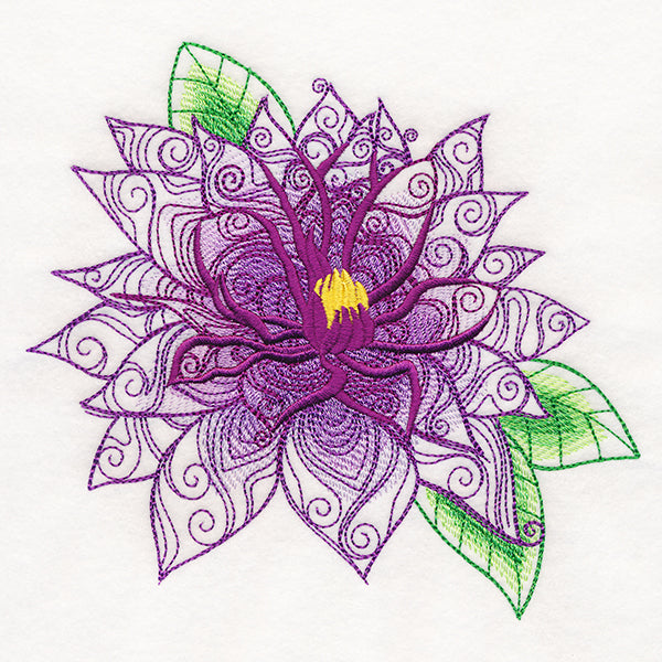 Woodland Magic - Clematis Andromeda