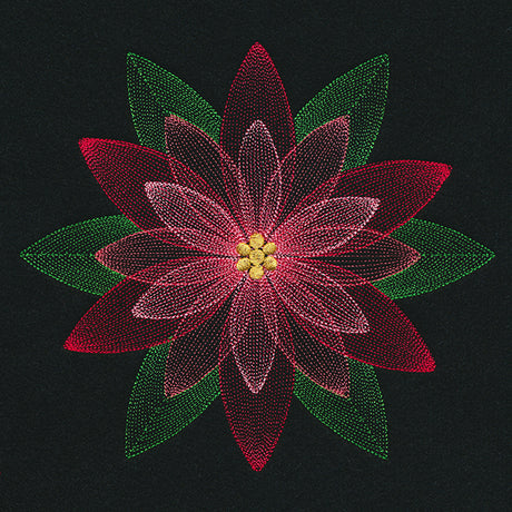 Mirage Poinsettia
