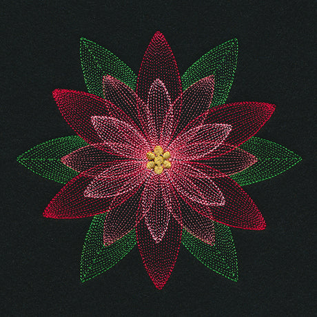 Mirage Poinsettia