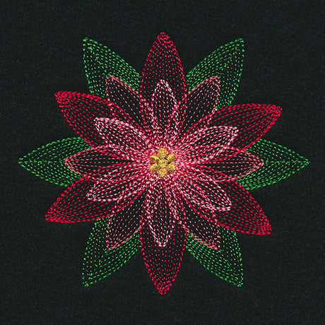 Mirage Poinsettia