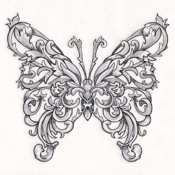 Butterfly in Baroque