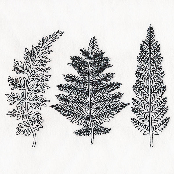Botanical Ferns
