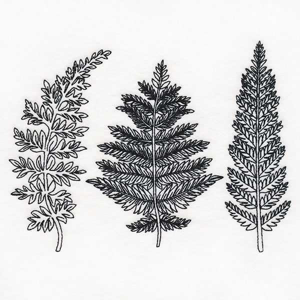 Botanical Ferns