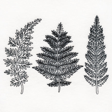 Botanical Ferns