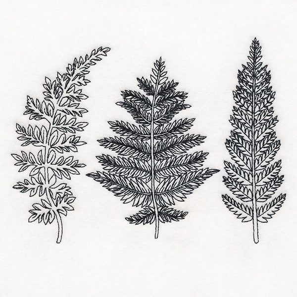 Botanical Ferns