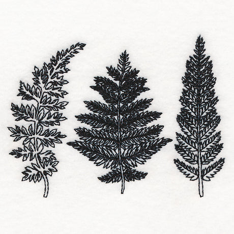 Botanical Ferns