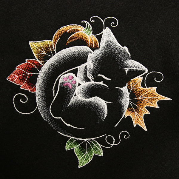 Snoozy Autumn Glow Cat