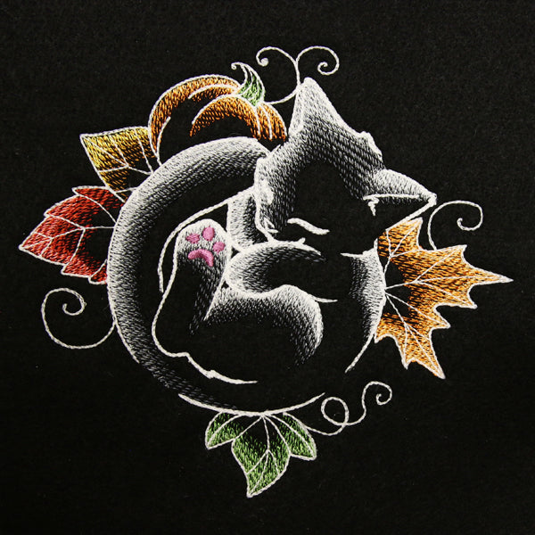 Snoozy Autumn Glow Cat