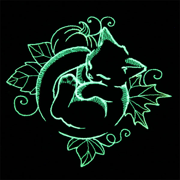 Snoozy Autumn Glow Cat