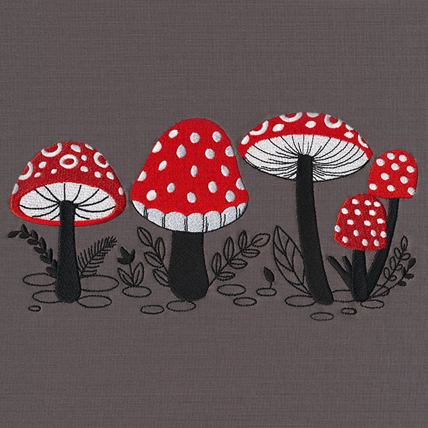 Morel of the Story Border