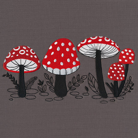 Morel of the Story Border