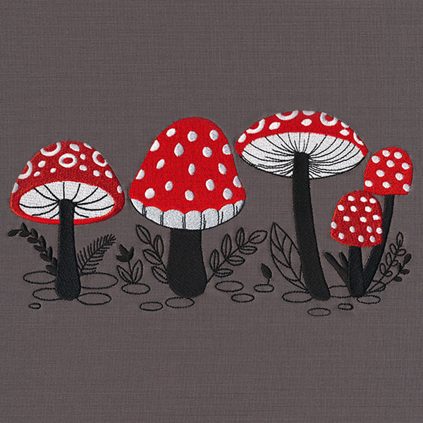 Morel of the Story Border